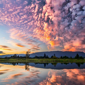 Evening Luxe